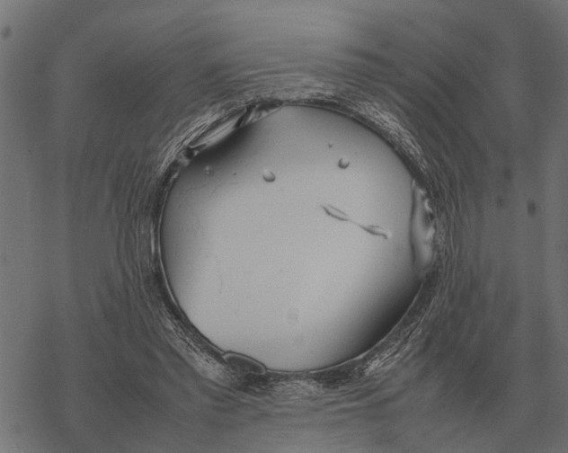 X0000067950397200605041831