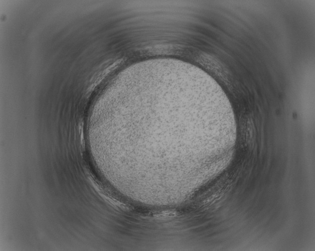 X0000067950398200605041831