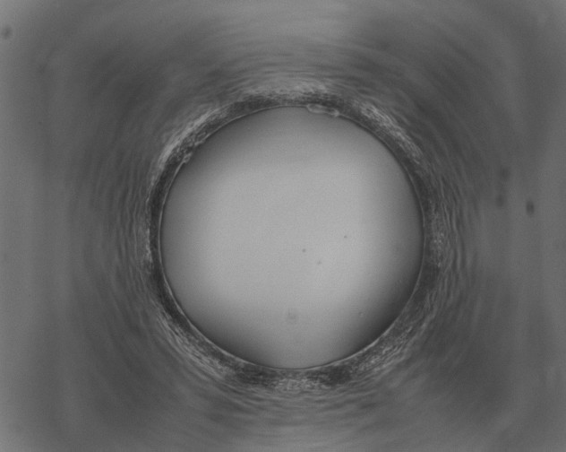 X0000067950399200605041831