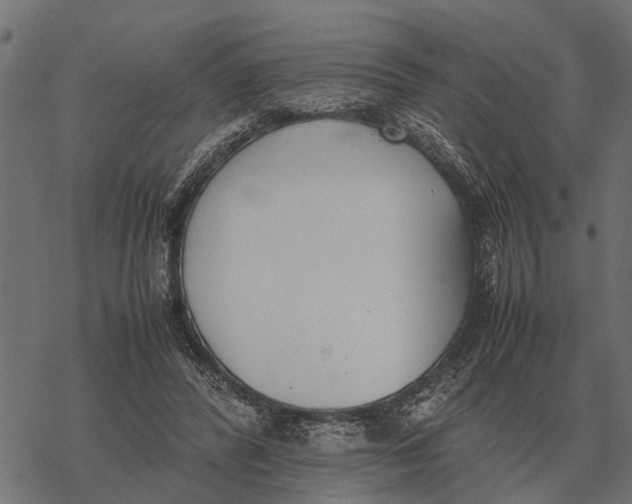 X0000067950400200605041831