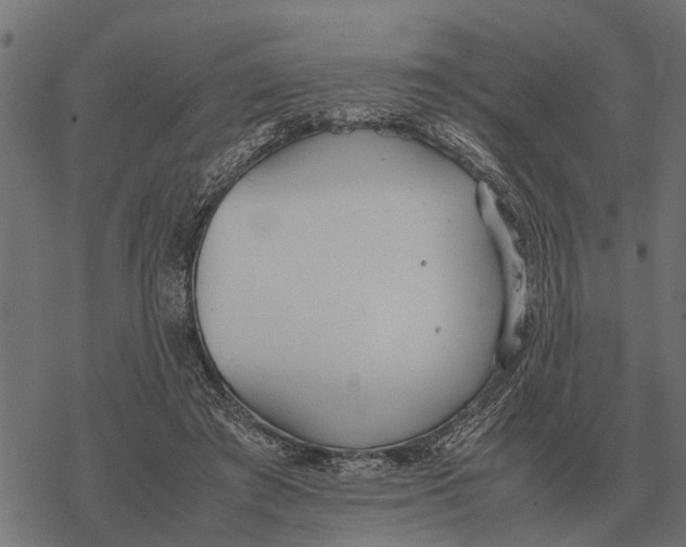 X0000067950401200605041831