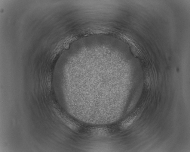 X0000067950402200605041831