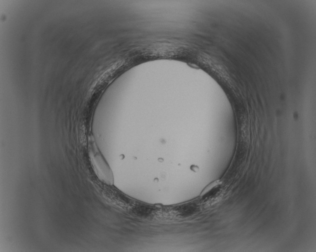 X0000067950403200605041831