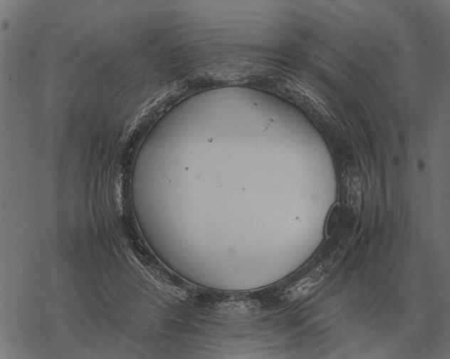 X0000067950404200605041831