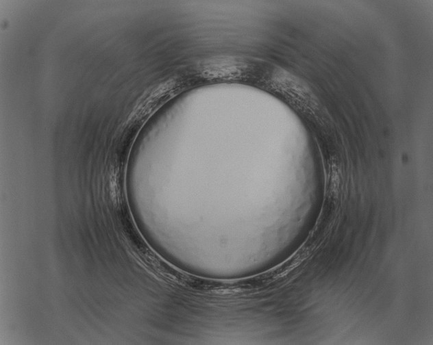 X0000067950408200605041831