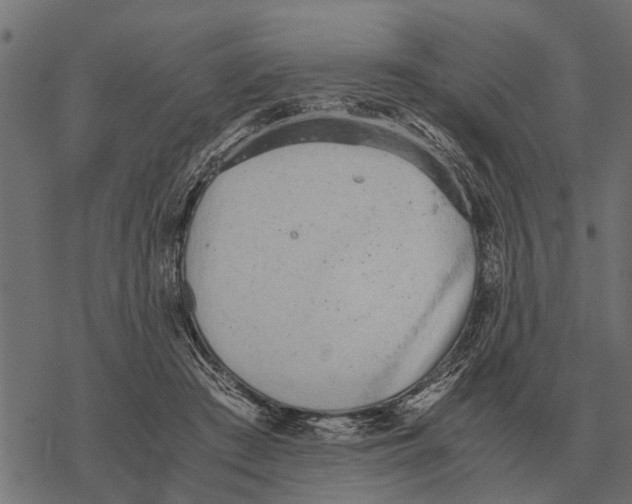 X0000067950409200605041831