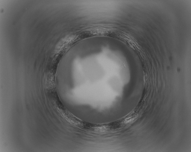 X0000067950411200605041831