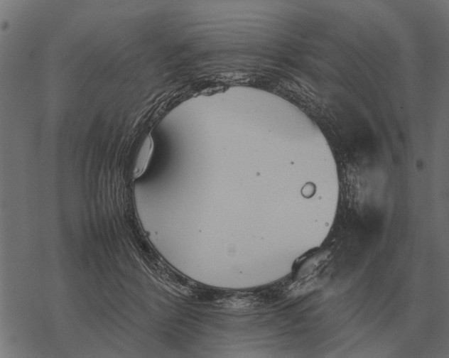 X0000067950412200605041831