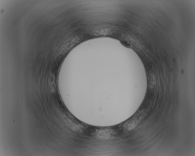 X0000067950414200605041831