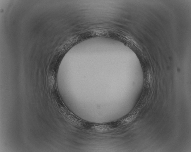 X0000067950417200605041831