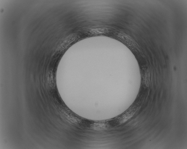 X0000067950418200605041831