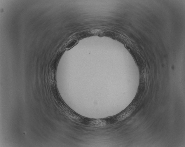 X0000067950421200605041831