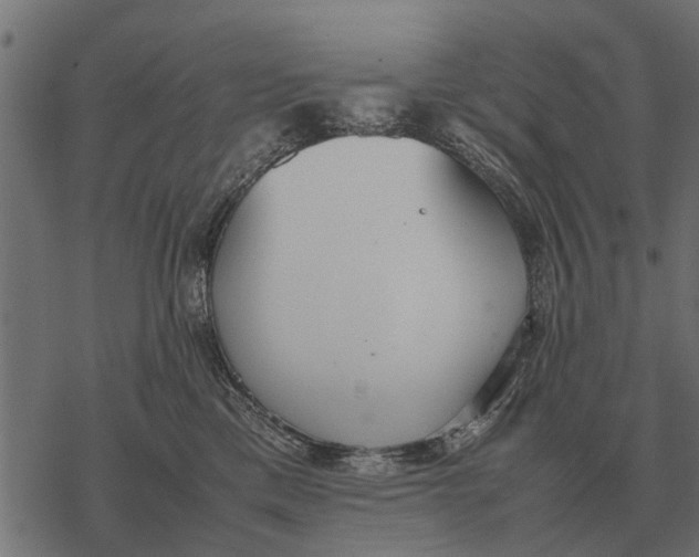 X0000067950425200605041830