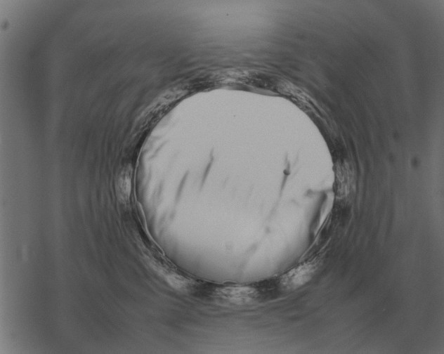 X0000067950427200605041830