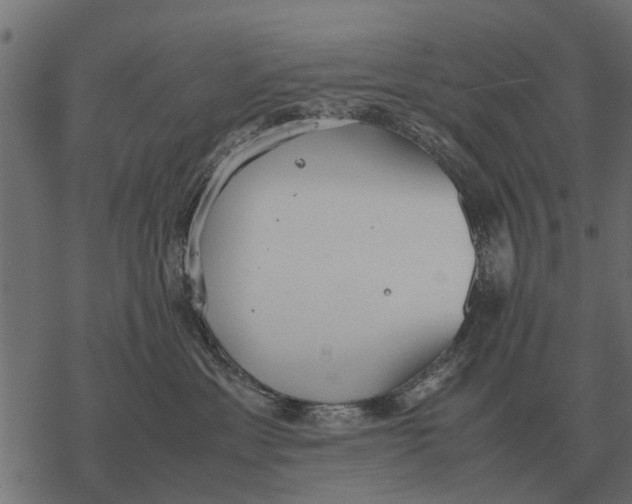 X0000067950429200605041830