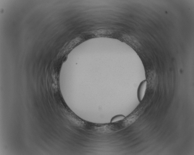 X0000067950430200605041830