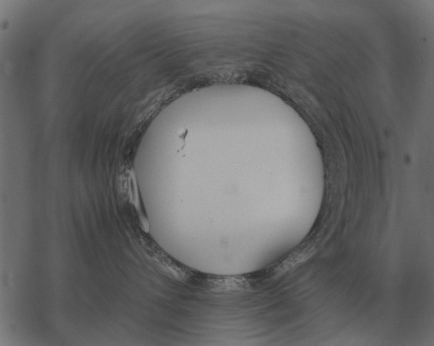 X0000067950432200605041830