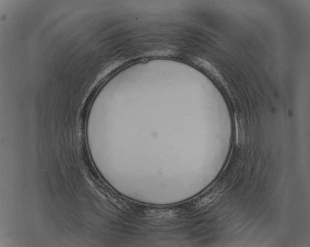 X0000067950435200605041830