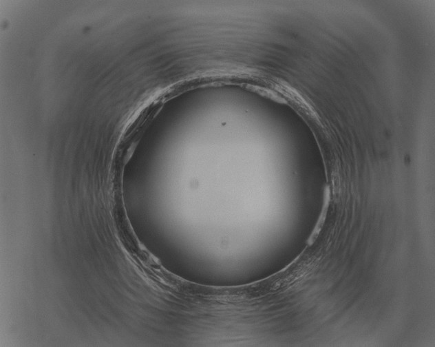 X0000067950436200605041830