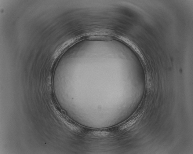 X0000067950437200605041830