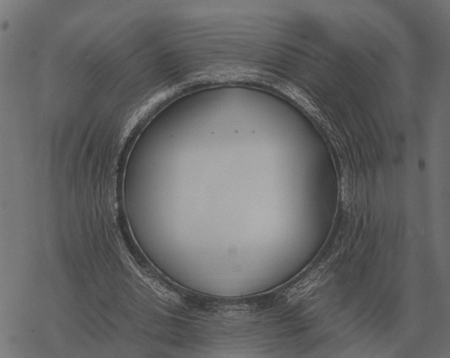 X0000067950438200605041830