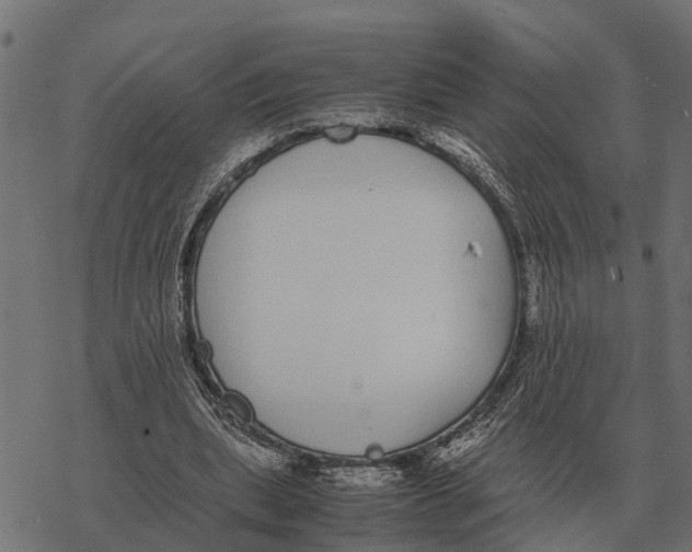 X0000067950439200605041830