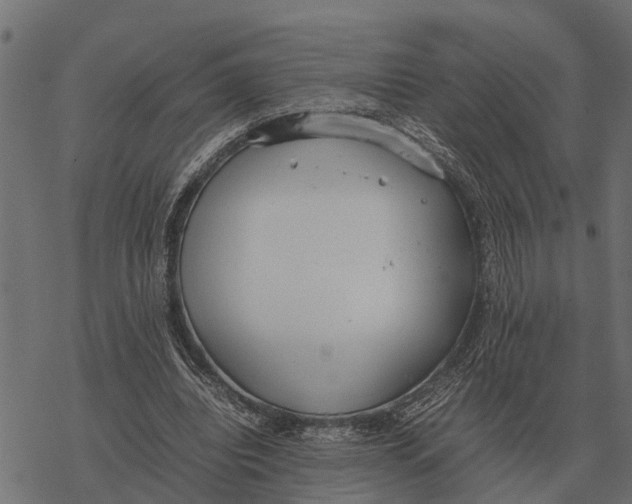 X0000067950440200605041830