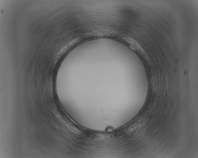 X0000067950442200605041830