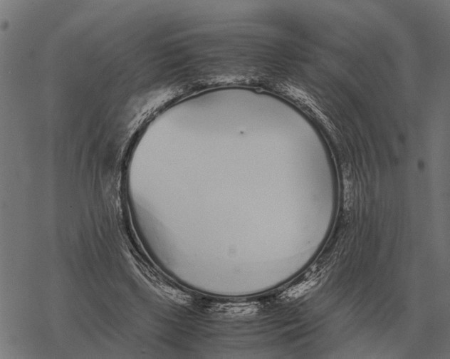 X0000067950443200605041830