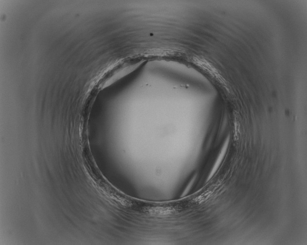 X0000067950444200605041830