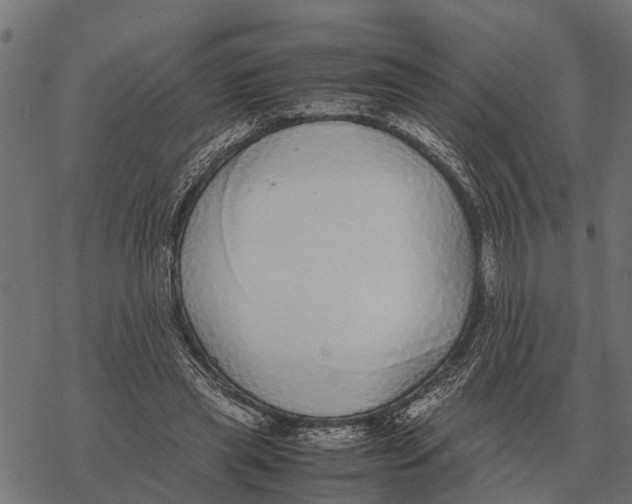 X0000067950445200605041830