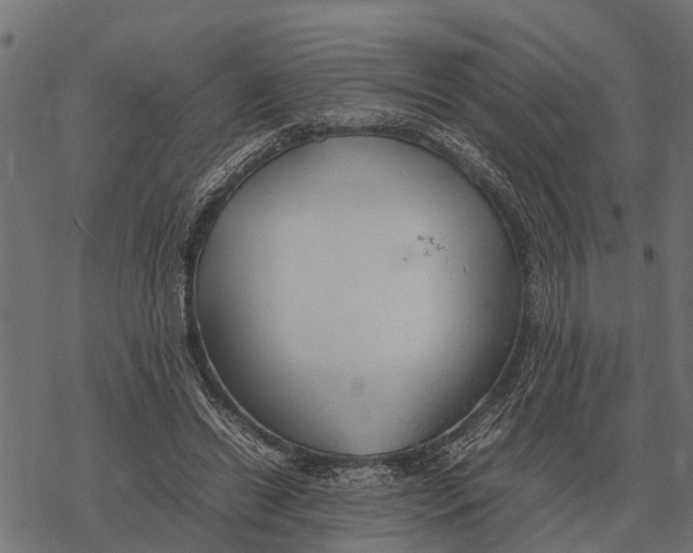 X0000067950446200605041830