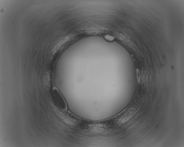 X0000067950448200605041830