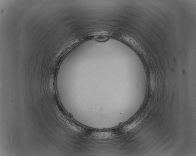 X0000067950449200605041830