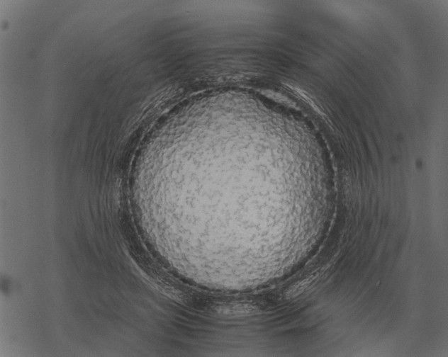 X0000067950451200605041830