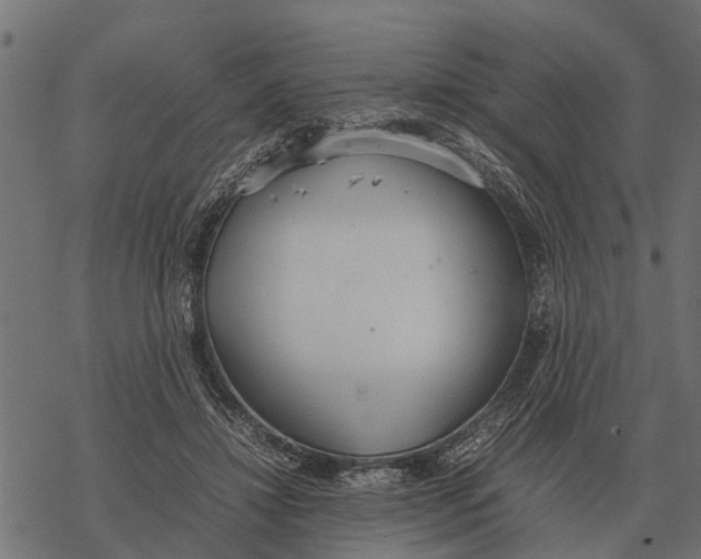 X0000067950452200605041830