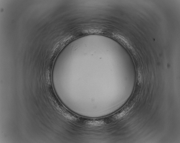 X0000067950453200605041830