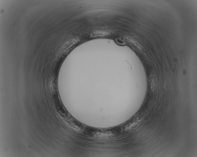 X0000067950455200605041830