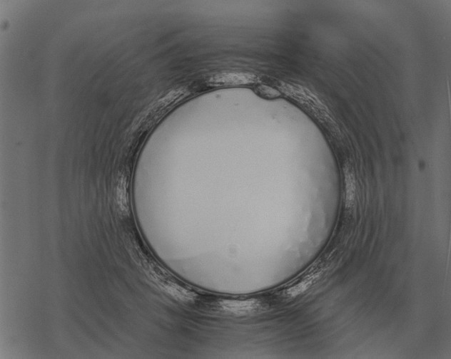 X0000067950457200605041830