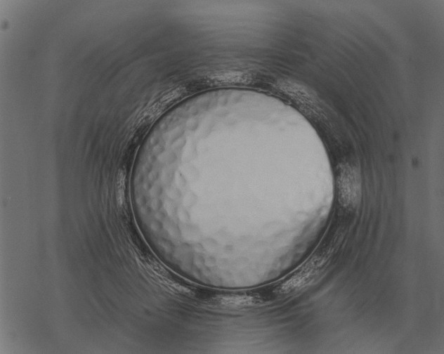 X0000067950458200605041830