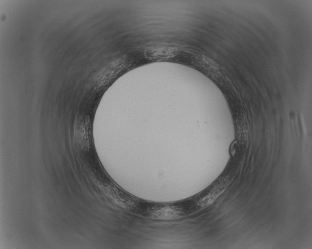 X0000067950460200605041830