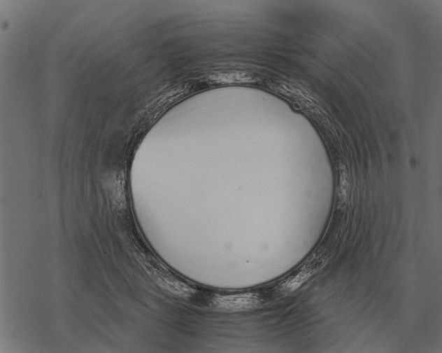 X0000067950461200605041830