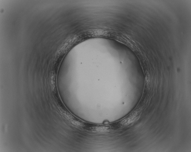 X0000067950462200605041830