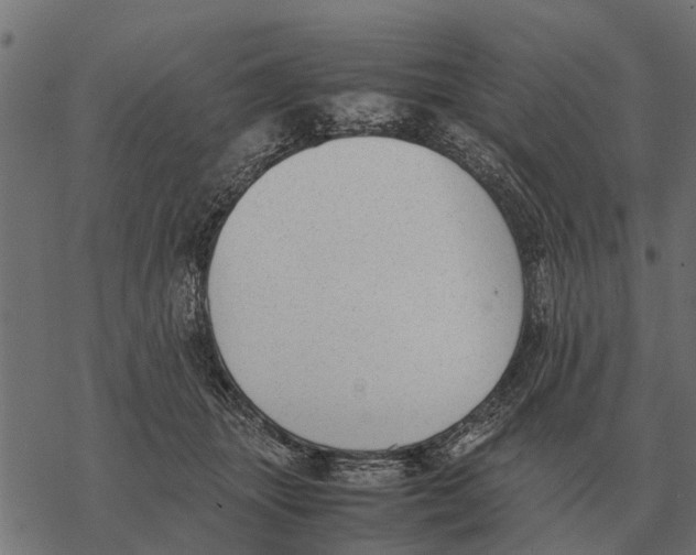 X0000067950463200605041830