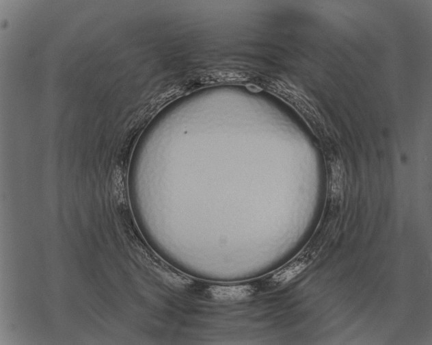 X0000067950465200605041830