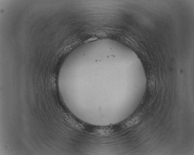 X0000067950466200605041830