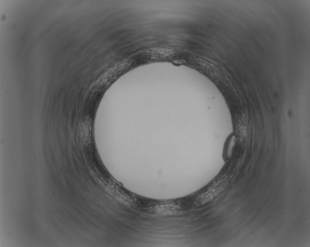 X0000067950468200605041830