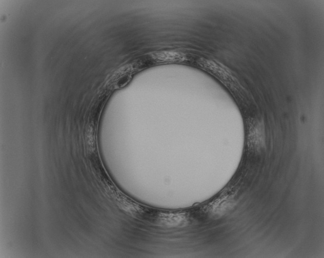 X0000067950469200605041830