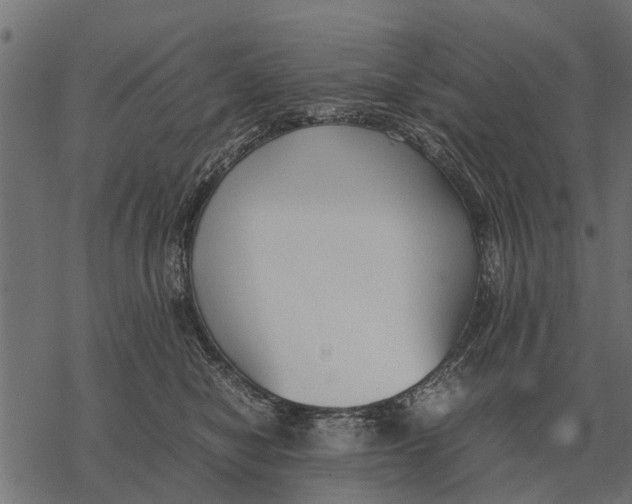 X0000067950470200605041830