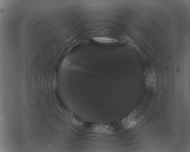 X0000067950471200605041830